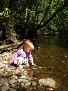 The Gift of a Nature Preserve Image